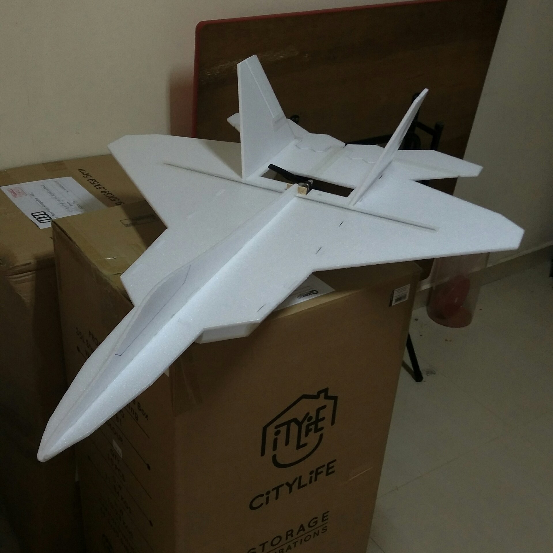 RC F22 Plane